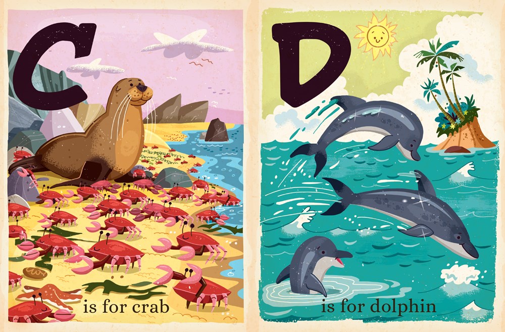 O is for Ocean Board Book