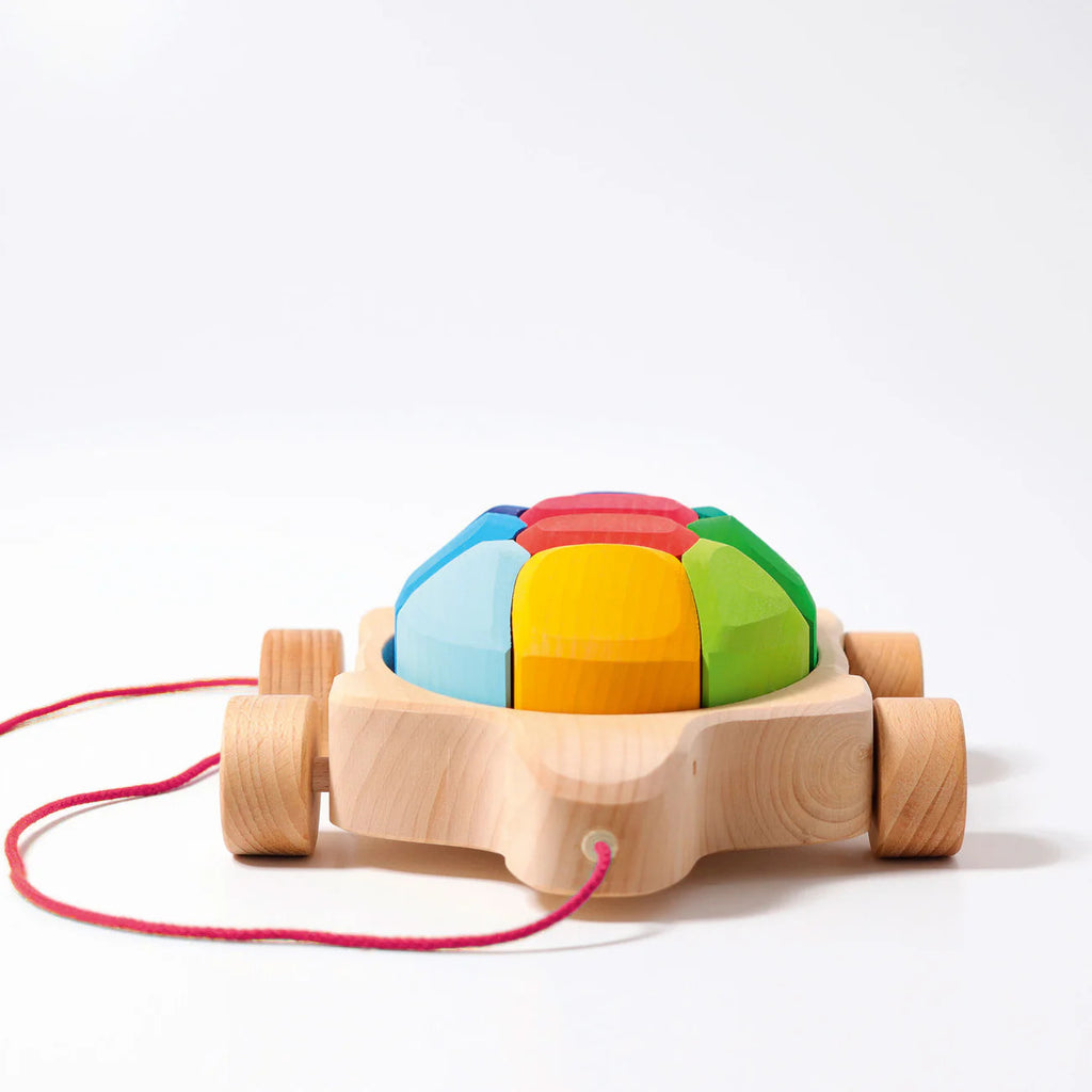 Grimms Rainbow Turtle