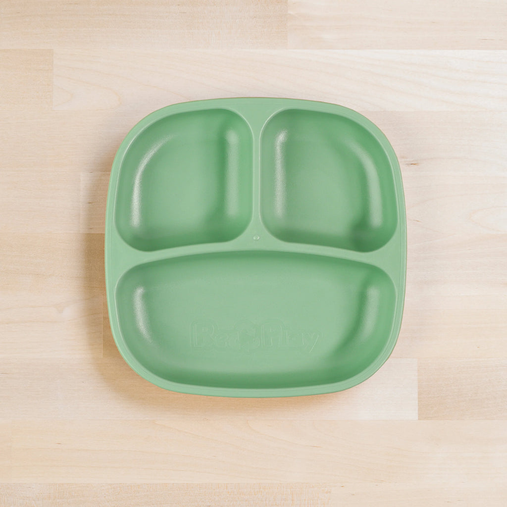 Divided Plate