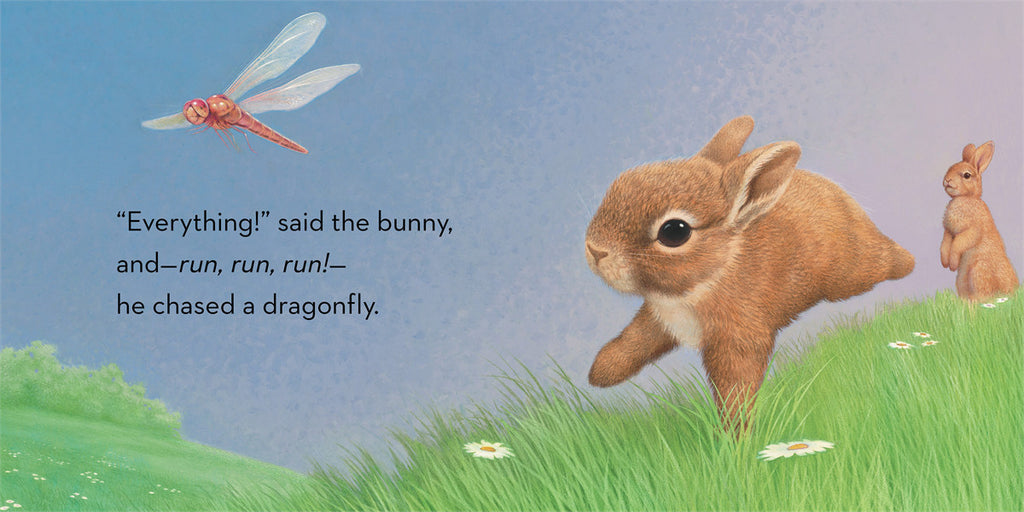 Little Bunny - Board Book