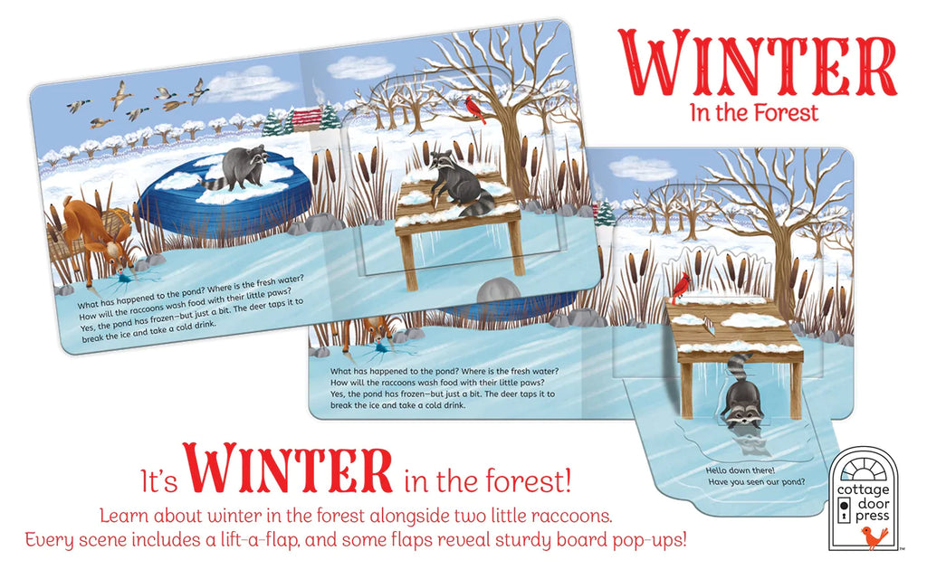 Winter In The Forest: Lift A Flap Book