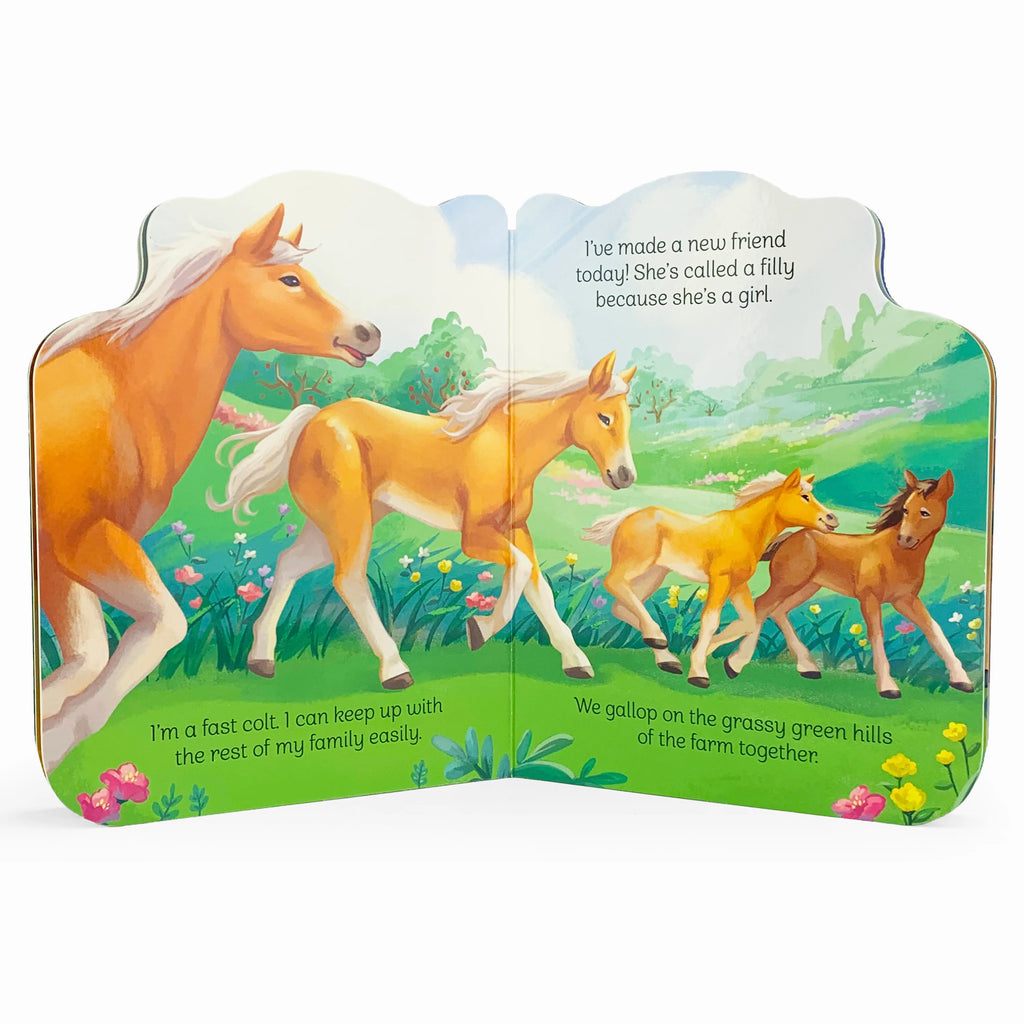 A Little Colt: Board Book