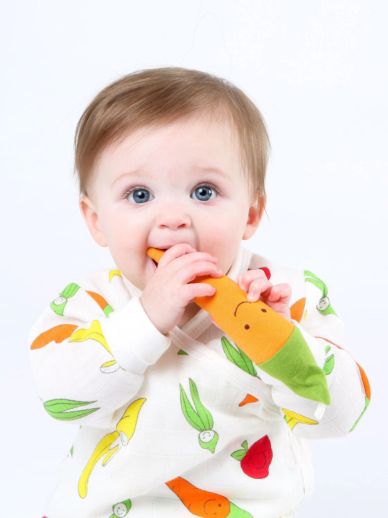 Organic Carrot Veggie Toy